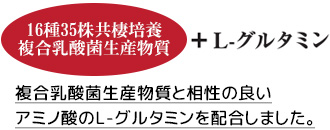 16種35株共棲培養 複合乳酸菌生産物質 ＋ L-グルタミン