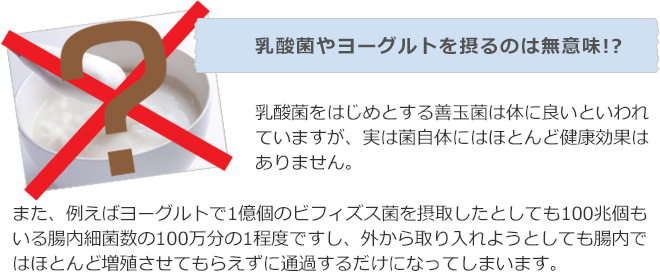 乳酸菌やヨーグルトを摂るのは無意味!? 乳酸菌をはじめとする善玉菌は体に良いといわれていますが、実は菌自体にはほとんど健康効果はありません。また、例えばヨーグルトで1億個のビフィズス菌を摂取したとしても100兆個もいる腸内細菌数の100万分の1程度ですし、外から取り入れようとしても腸内ではほとんど増殖させてもらえずに通過するだけになってしまいます。
