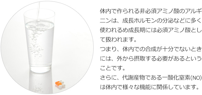 体内で作られる非必須アミノ酸のアルギニンは、成長ホルモンの分泌などに多く使われるため成長期には必須アミノ酸として扱われます。つまり、体内での合成が十分に行われないときには、外から摂取する必要があるということです。さらに、代謝産物に一酸化窒素（NO）は体内で様々な機能に関係しています。