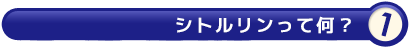 シトルリンって何？