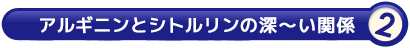 アルギニンとシトルリンの深～い関係