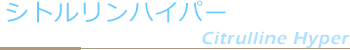 シトルリンハイパー Citrulline Hyper