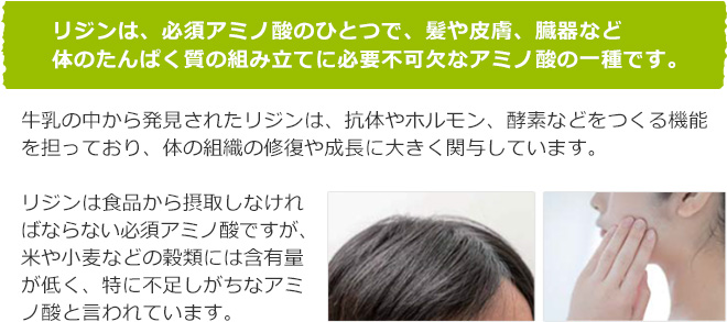 リジンは、必須アミノ酸のひとつで、髪や皮膚、臓器など体のたんぱく質の組み立てに必要不可欠なアミノ酸の一種です。牛乳の中から発見されたリジンは、抗体やホルモン、酵素などをつくる機能を担っており、体の組織の修復や成長に大きく関与しています。リジンは食品から摂取しなければならない必須アミノ酸ですが、米や小麦などの穀類には含有量が低く、特に不足しがちなアミノ酸と言われています。