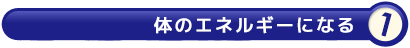 体のエネルギーになる